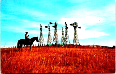 Postcard Nebraska Landmarks Horseback Rider with Background Windmills