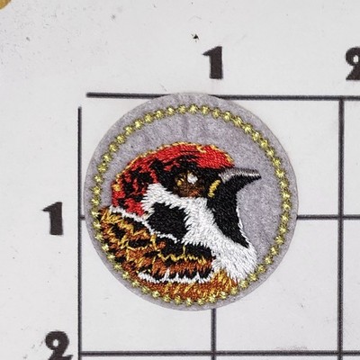 Oriole Bird Patch Embroidered Sew On Applique Uniform Costume Cosplay