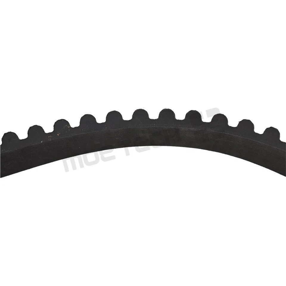 Correa de transmisión trasera nueva para Harley Davidson 1-1/2" 130T 62-0941 Foto 4 de 4