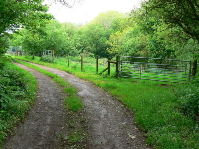 Photo 6x4 Track to Bancyffynnon Trevaughan/SN2015 Bancyffynnon is just v c2009