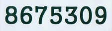   8675309 ~ Bumper Sticker ~ Baby I got your number.