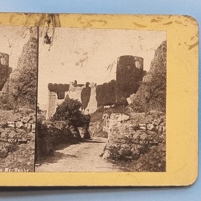Tenby Pembrokeshire Stereoview 1880 Manorbier Castle Approach Lane Wales