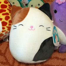 Peluche Squishmallows 8" Cameron The Cat NUEVO CON ETIQUETAS - VENDEDOR DE EE. UU.