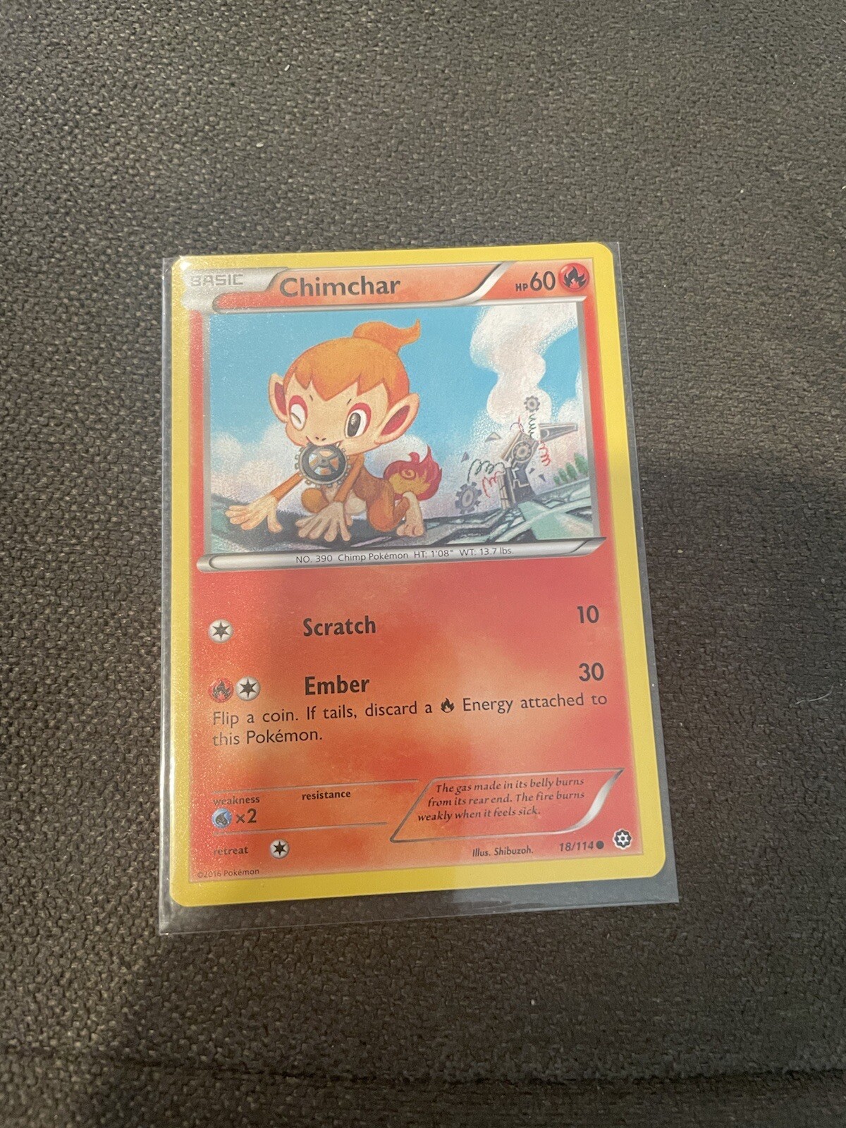 POKEMON - CHIMCHAR 18/114 COMMON CARD -  XY STEAM SIEGE - M/NM