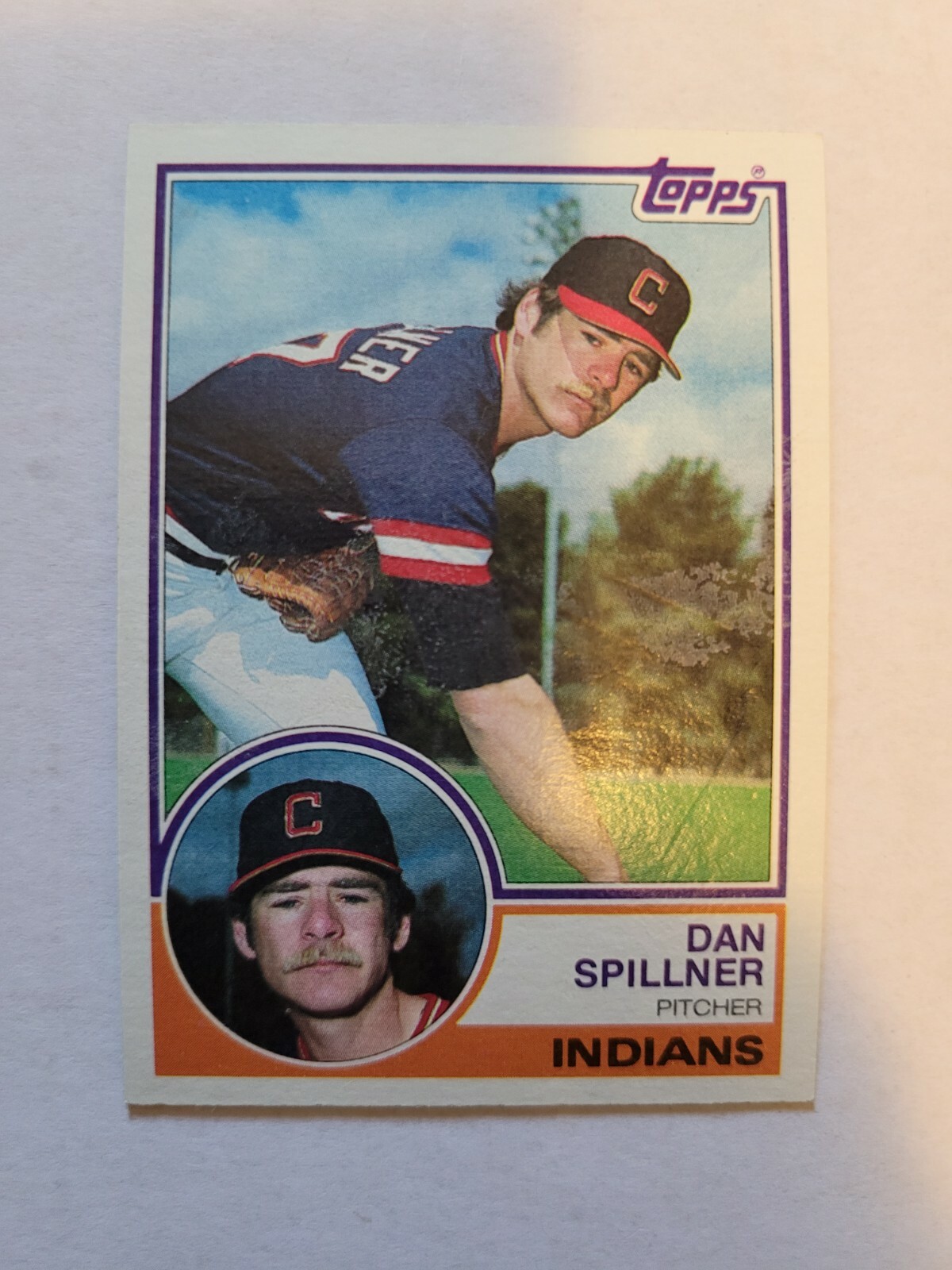 1983 TOPPS DAN SPILLNER #725 NM