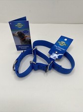 PetSafe Martingale S Pet Collar Adjustable 3/4" Small 8"-12" Dog Collar