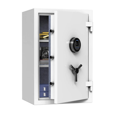 RPNB Deluxe Home Safe   , Biometric Safe Box, Fingerprint Fireproof  
