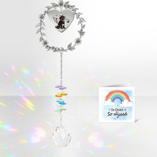 Dog Memorial Gifts for Loss of Dog, Pet Memorial Crystal Suncatcher Gifts, Loss