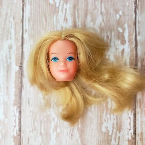 growing up skipper ebay