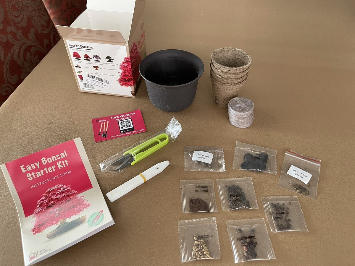Easy Bonsai Starter Kit by Grow Buddha - Easily grow 8 types | eBay