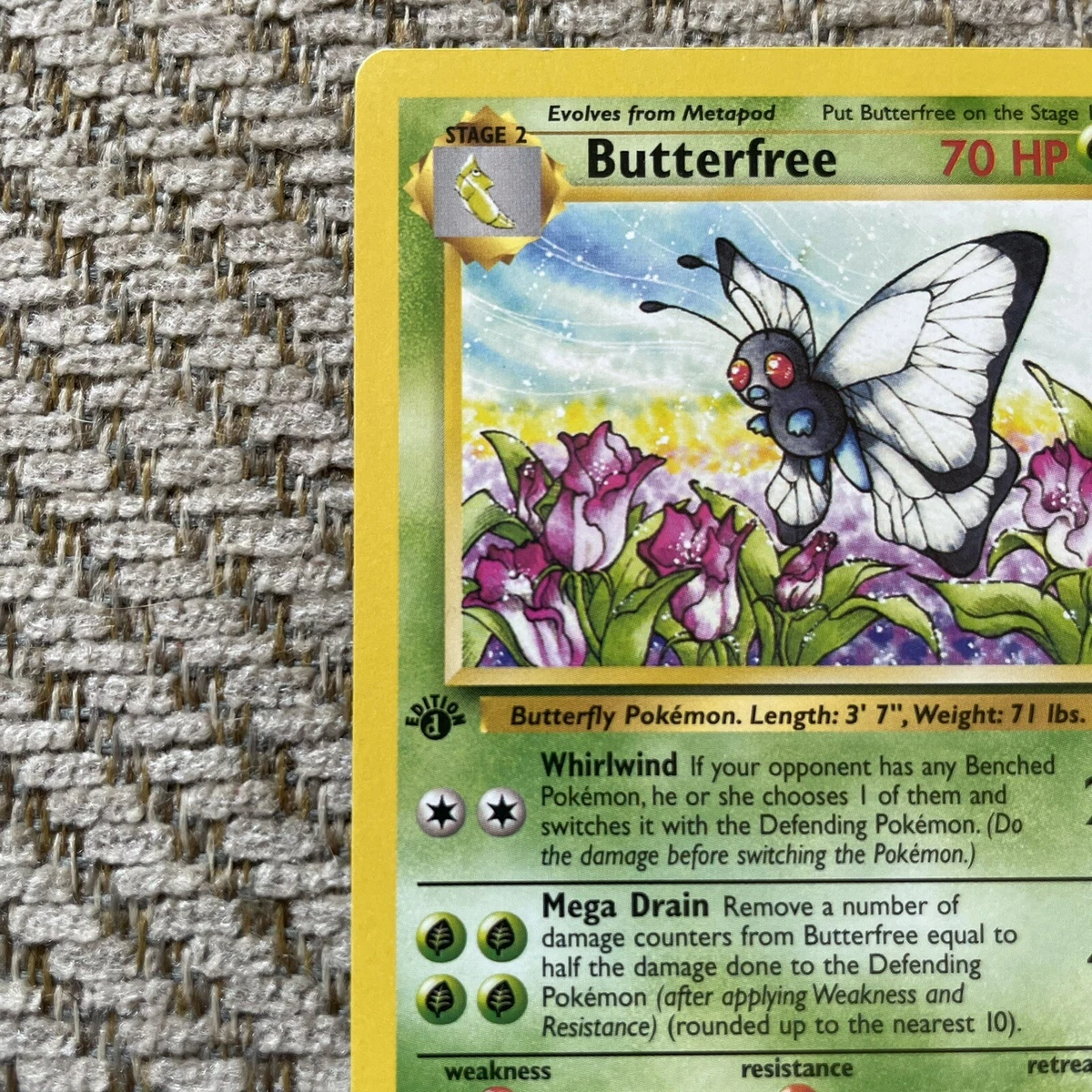 Butterfree Card 