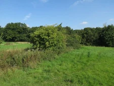 Photo 6x4 Short hedge Haverhill/TL6645 This area is planned to become pa c2015