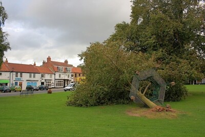 Photo 6x4 Storm Damage, High Green Great Ayton The aftermath of the high  c2011