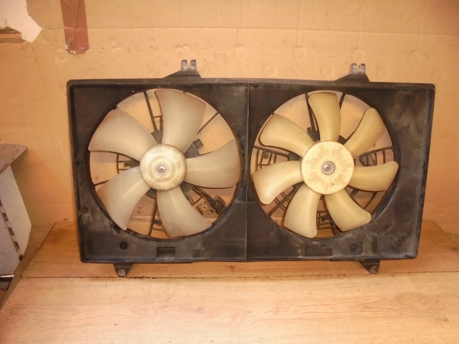 Picture 4 of 5