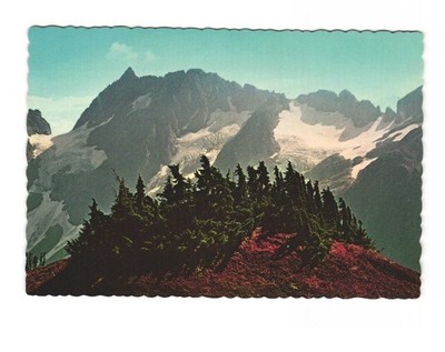Magic Mountain near Cascade Pass in North Cascades National Park VTG postcard