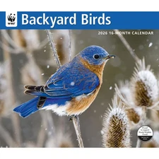 Carousel Calendars,  Birds Backyard WWF 2026 Wall Calendar, 12'' X 28'', 16-Mont