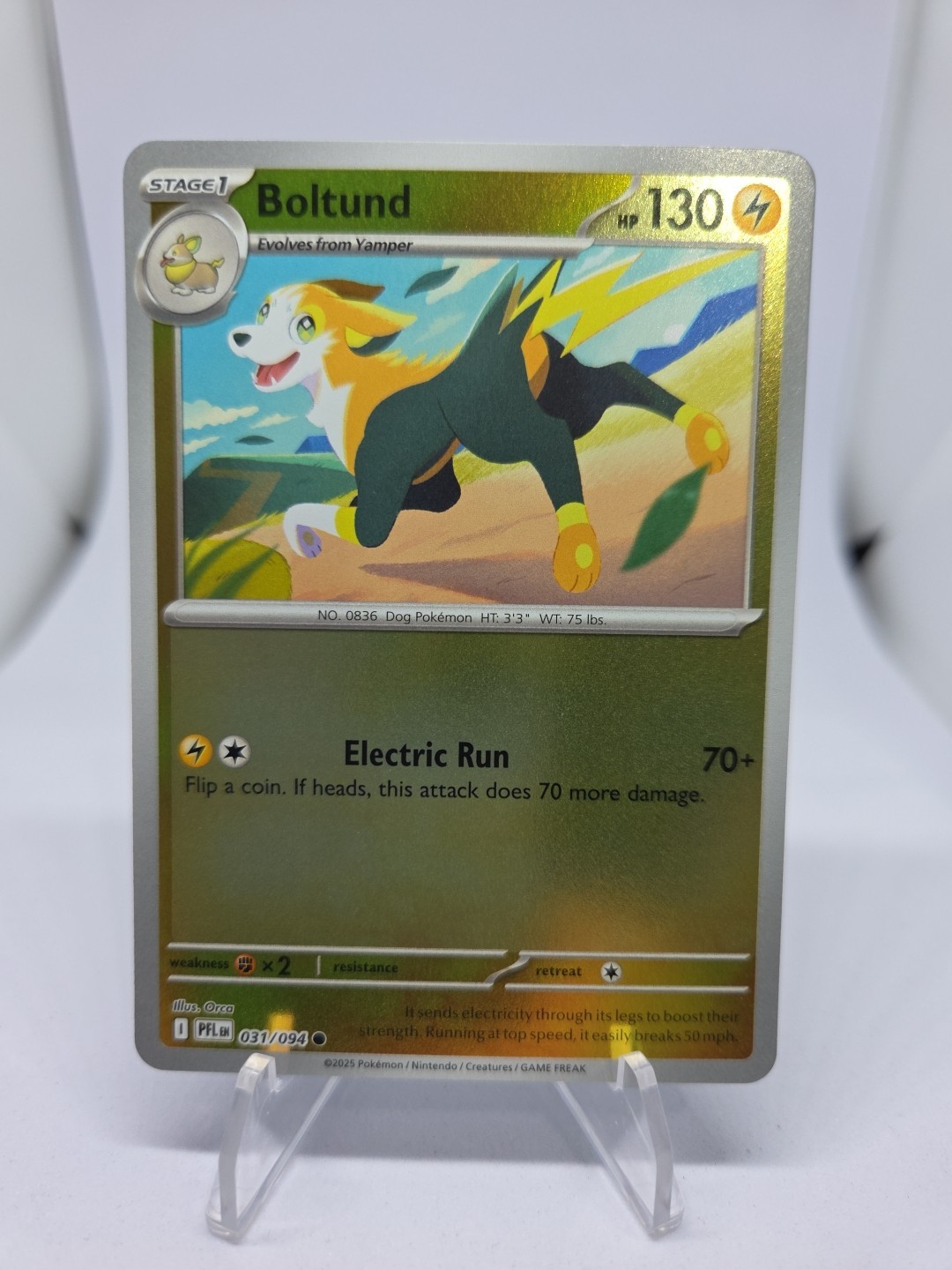 Reverse Holo Boltund 031/094 Common ME02: Phantasmal Flames Pokemon