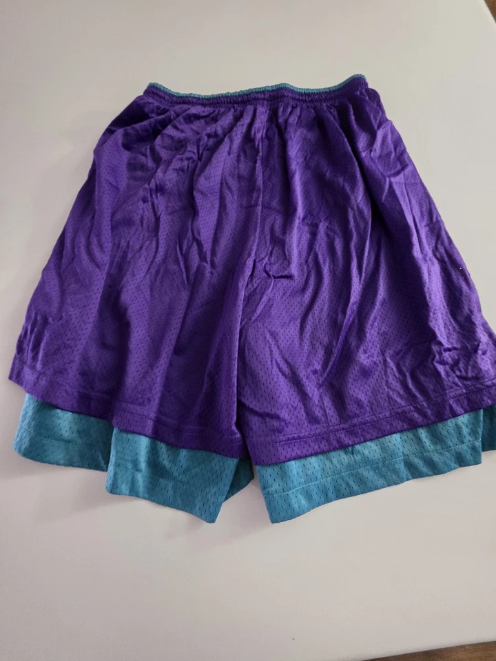 Pantalones Cortos Atléticos De Colección ChampionMesh Reversibles Años 90 Púrpura Azul Teal Foto 3 de 4