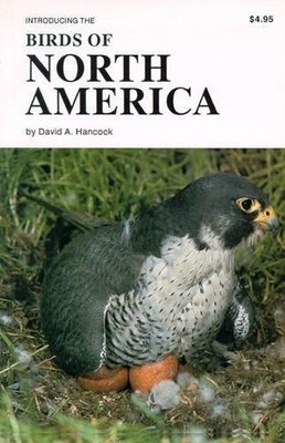 David Hancock Birds of North America (Taschenbuch)