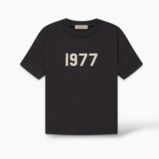 Essentials Fear of God ss22 Tee Iron