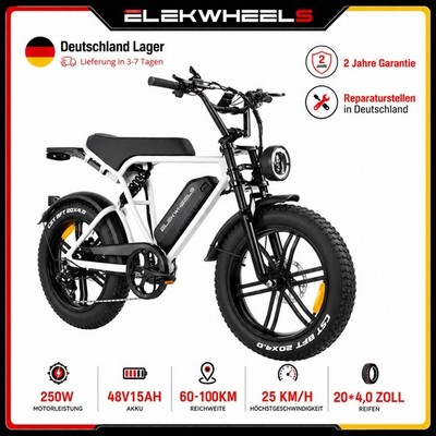 20 Zoll E-Bike Cityrad 250W Elektrofahrrad,720Wh Akku,80Nm,bis 108km Reichweite