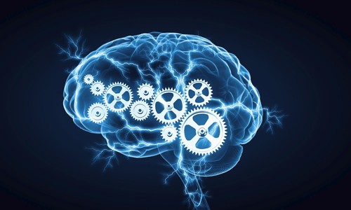 Brain vitamins - BRAIN & MEMORY BOOSTER FORMULA 777mg - mood booster - 1 Bottle - 第 7/12 張圖片