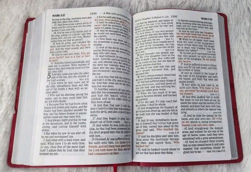 Holman KJV Holy Bible Personal Size Pink Leathertouch Silver Gilt Maps - Bild 9 von 11