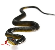 45cm Fake Realistic Rubber Snake Simulation Anaconda Scary Halloween Bird Scare
