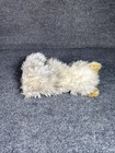 Bild 5 von 6
