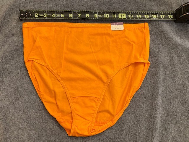 Vintage Cacique By Lane Bryant High Leg Cotton UNISEX Brief Panties vintage-cacique-by-lane-bryant-high-leg-cotton-unisex-brief-panties