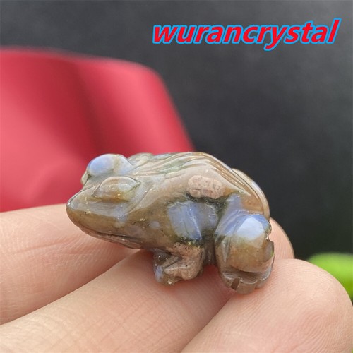 5pcs Natural Blue amphibole Quartz crystal frogs carved mini Skull point Healing - Picture 6 of 9