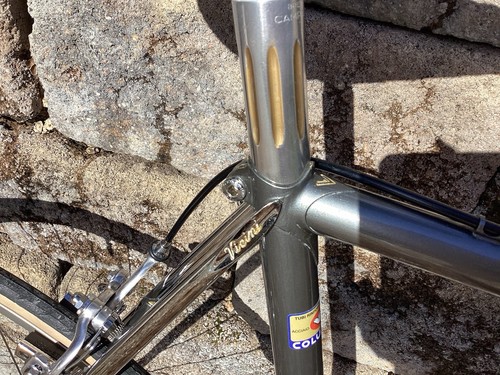 Vicini Cesena Vintage Italian Road Bike Gorgeous Show Quality Campagnolo Eroica