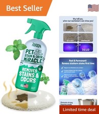 Pet Stain  Odor Miracle - Fast Acting Enzyme Cleaner, 32 fl oz - Spring Mint