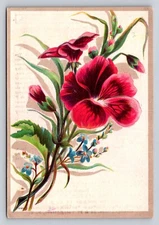 A & P Condensed Milk Great Atlantic Pacific Tea Company St Paul P380