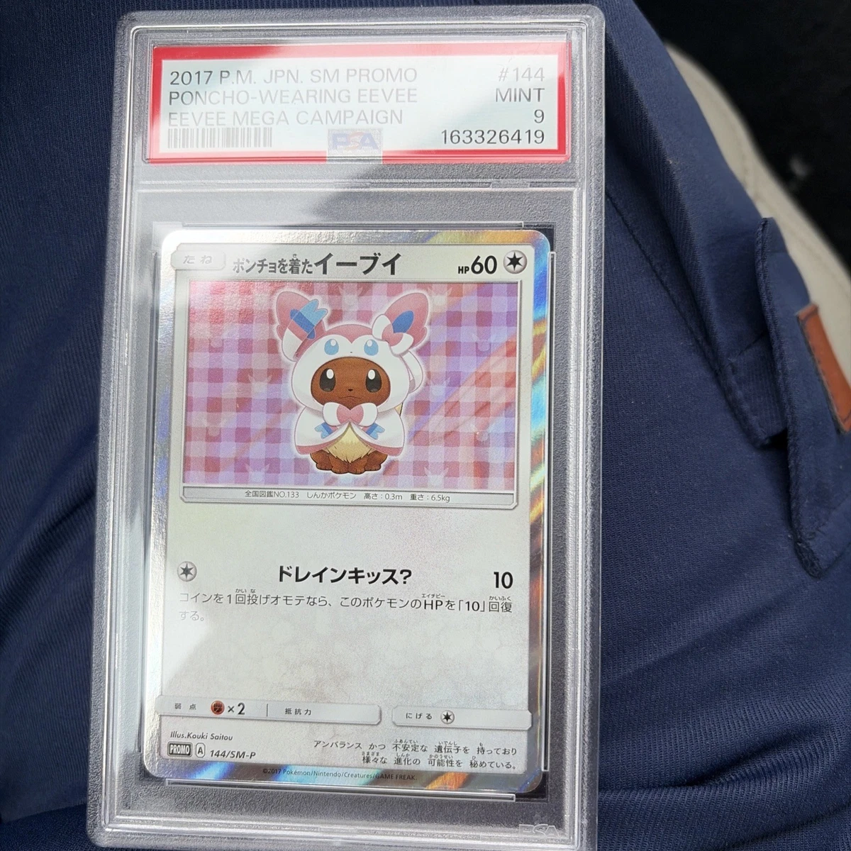 Poncho-Wearing Eevee