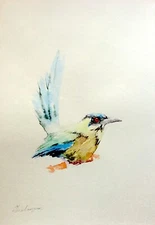 Andean Motmot,  Birds, Watercolor artwork, Handmade, Original painting on paper