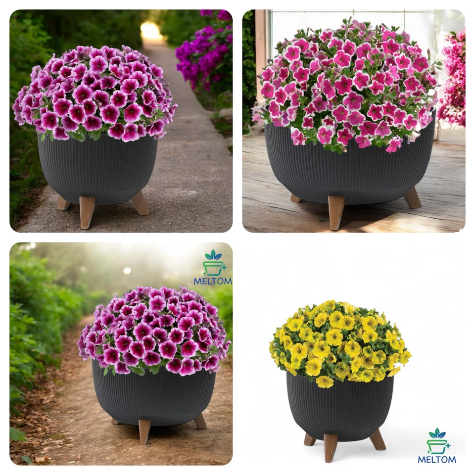 Pflanzschale Groß Rund Blumentopf mit Füßen Schale Kräutertopf Pflanzschale - Bild 2 von 2