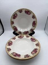 Set Of 3 Farberware Sydney Roses 9 1/8" Rimmed Soup Bowls Fine China