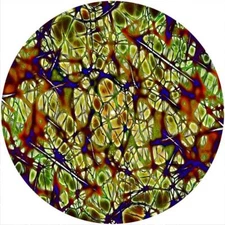 Slipmat Slip Mat Pad Felt for 12" Turntable LP DJ Record Vinyl Player CELLS 4