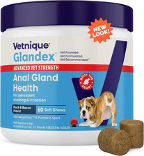 Vetnique Glandex Anal Gland Soft Chew Treats with Pumpkin for Dogs Digestive Enz