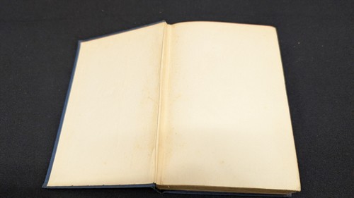 Iron Man by W.R. Burnett Lincoln Mac Weagh New York 1930, by Dial Press 1st Edit - Picture 10 of 24