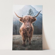 Highland Cow Highland Scottish Cattle Vintage Farm Animals Wall Art Poster Print