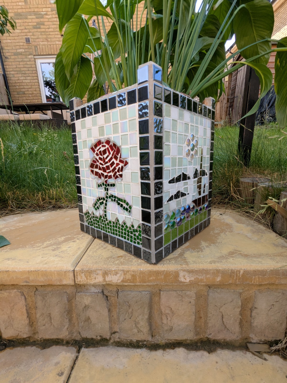 Picture 2 of 21