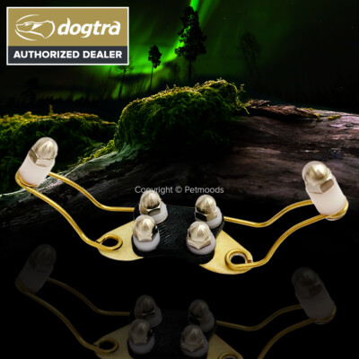 Dogtra Titanium Enhanced Contact Point Large - ARC 1900S EDGE RT 3500X 2700 T&B