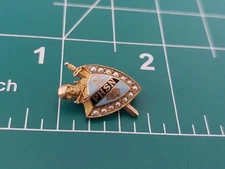 PHSN Skull Crossbones Shield Sword Seed Pearl Pin 10k Gold Fraternity HJCO