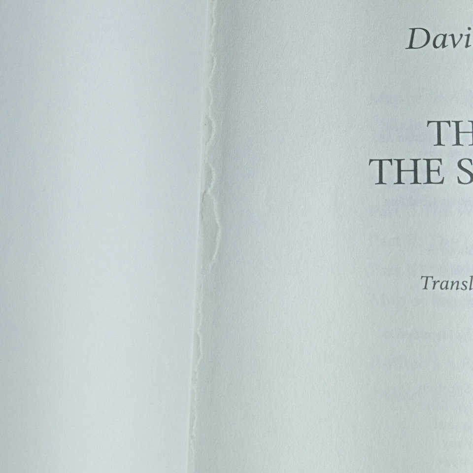 The Girl in the Spider's Web: Continuing Stieg Larsson's Millennium Series by... - Image 3 of 4