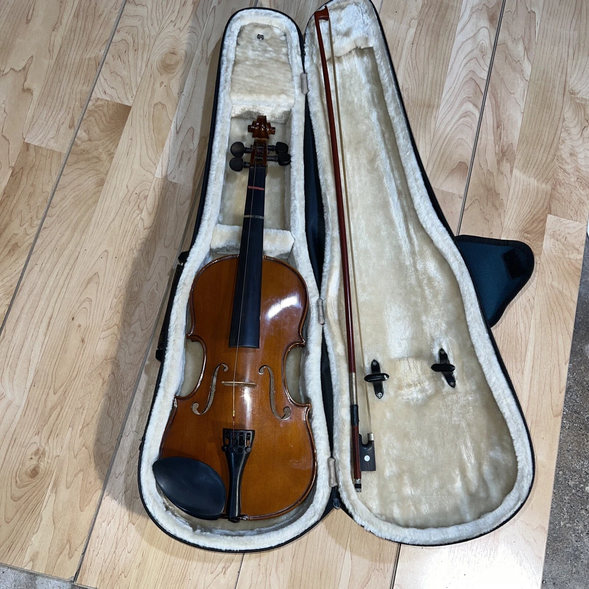 Palatino Acoustic Violins 4/4 Size for sale | eBay
