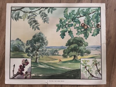 Eileen Soper Vintage Schuldruck. Enid Blyton. Nr. 24 Der Zauber, der schief ging