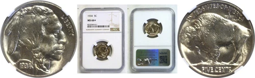 1934 5C Buffalo Nickel NGC MS-66+