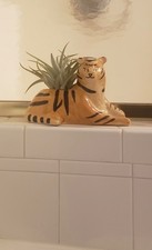 Ceramic Tiger Planter
